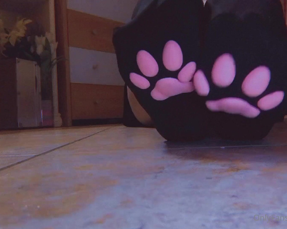 Nikykikka aka nikykikka Foot Fetish - 05-25-2023 OnlyFans Video - Kitty