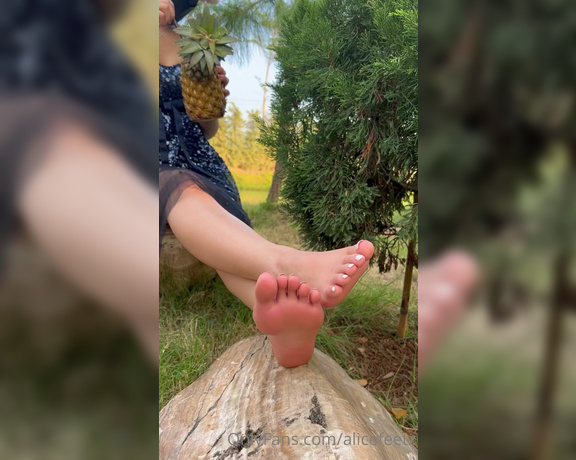 Alicefeetz aka alicefeetz - 02-24-2023 OnlyFans Video - Hehe wanna drink pineapple