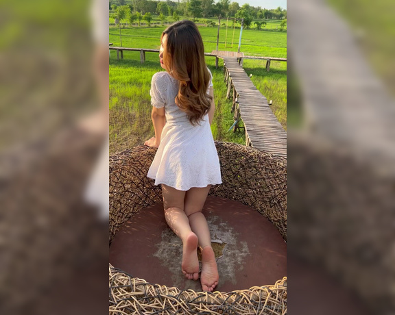 Alicefeetz aka alicefeetz - 12-25-2023 OnlyFans Video - Green and white dress fields in the evening, nice atmosphere and nice coffee