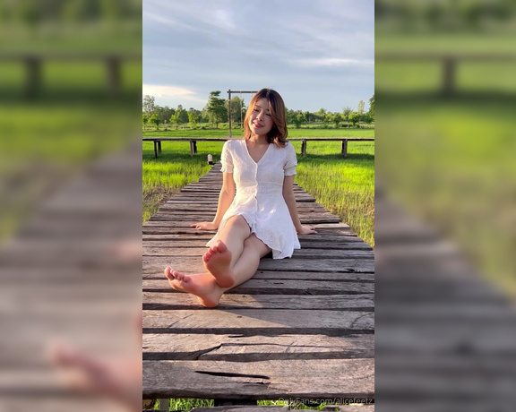 Alicefeetz aka alicefeetz - 12-25-2023 OnlyFans Video - Green and white dress fields in the evening, nice atmosphere and nice coffee