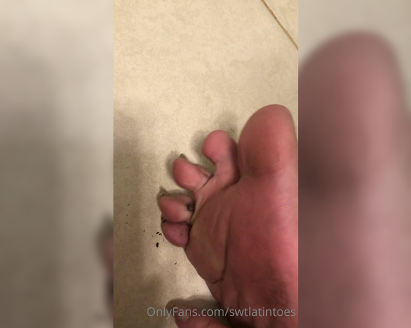 Swtlatintoes aka swtlatintoes - 10-03-2020 OnlyFans Video - Wow  I really got dirty yesterday, sweaty feet attracts all kinds of dirt  this