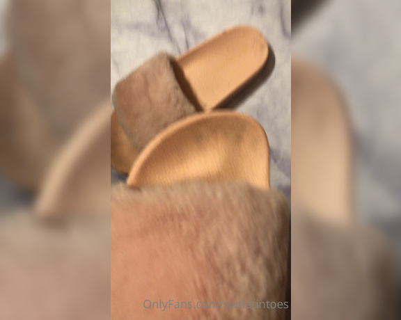 Swtlatintoes aka swtlatintoes - 10-18-2020 OnlyFans Video - Nothing would make me happier than you licking all this sweat of my chubby feet