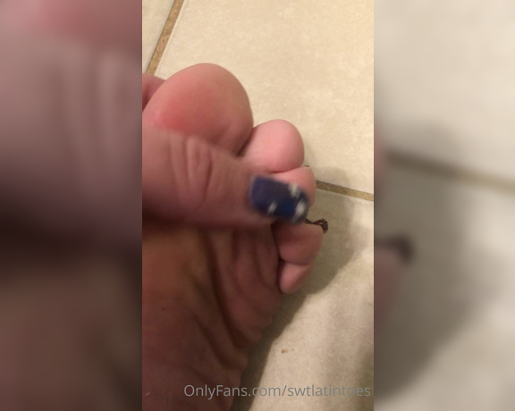 Swtlatintoes aka swtlatintoes - 12-23-2020 OnlyFans Video - I was told my feet stink , little do they know its day 2 in these