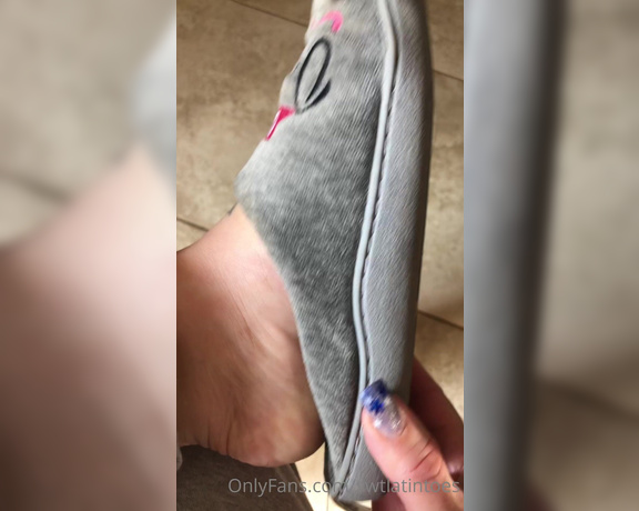 Swtlatintoes aka swtlatintoes - 12-26-2020 OnlyFans Video - Just a tad , dirty , sweaty , and stinky