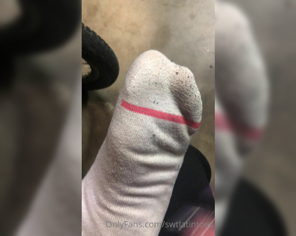 Swtlatintoes aka swtlatintoes - 03-14-2021 OnlyFans Video - 10 day stinky sock removal