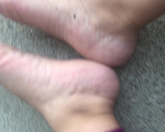 Swtlatintoes aka swtlatintoes - 09-15-2021 OnlyFans Video - Absolutely love these socks , very comfy , and have I mentioned they hold the smell_n420