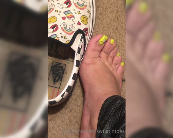 Swtlatintoes aka swtlatintoes - 09-12-2021 OnlyFans Video - Short workout yesterday , these feet where so sweaty  it was nice to take them_puz8