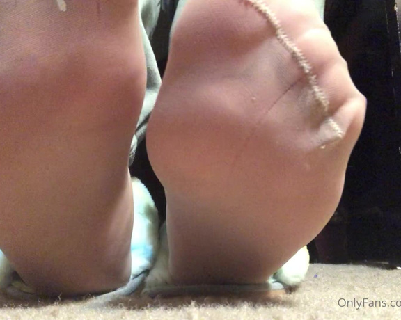 Swtlatintoes aka swtlatintoes - 11-02-2021 OnlyFans Video - Wouldnt you love to feel these soft nylon toes on your face