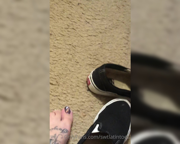 Swtlatintoes aka swtlatintoes - 01-18-2022 OnlyFans Video - Let me rub my sweaty Toesies all over your face