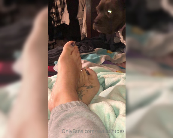 Swtlatintoes aka swtlatintoes - 01-22-2022 OnlyFans Video - Well someone wanted to say hi