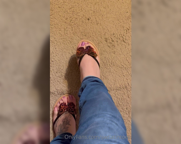 Swtlatintoes aka swtlatintoes - 05-23-2022 OnlyFans Video - I love how sparkly these are