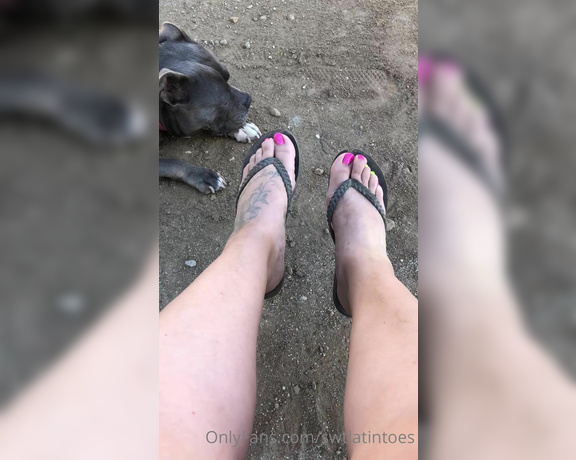 Swtlatintoes aka swtlatintoes - 05-02-2022 OnlyFans Video - Got a tad dirty