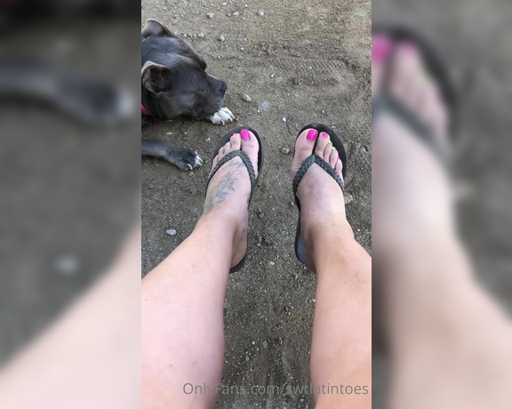 Swtlatintoes aka swtlatintoes - 05-02-2022 OnlyFans Video - Got a tad dirty