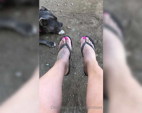 Swtlatintoes aka swtlatintoes - 05-02-2022 OnlyFans Video - Got a tad dirty