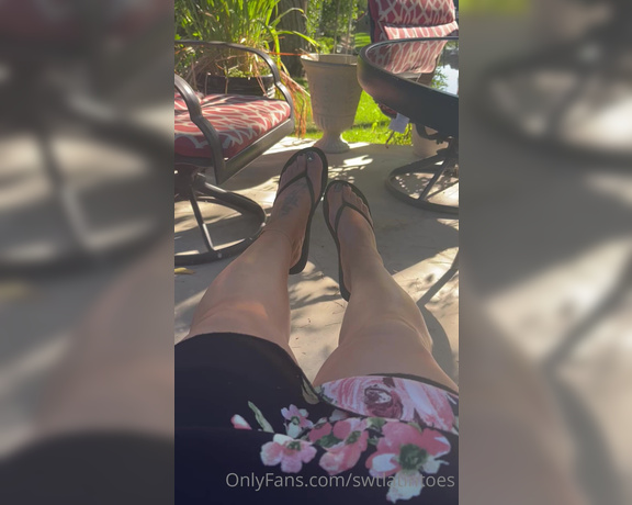 Swtlatintoes aka swtlatintoes - 08-07-2022 OnlyFans Video - Love these side wrinkles