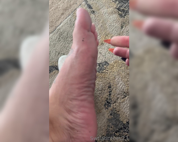 Swtlatintoes aka swtlatintoes - 12-19-2022 OnlyFans Video - Stinky and dirty