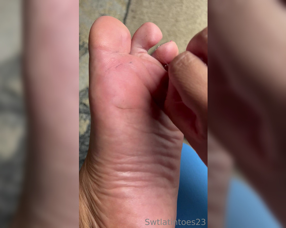 Swtlatintoes aka swtlatintoes - 06-21-2023 OnlyFans Video - Stinky and linty , dont they look yummy  I was is wet socks for too