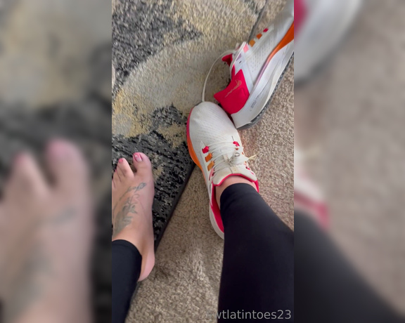 Swtlatintoes aka swtlatintoes - 08-14-2023 OnlyFans Video - Nice and ripe