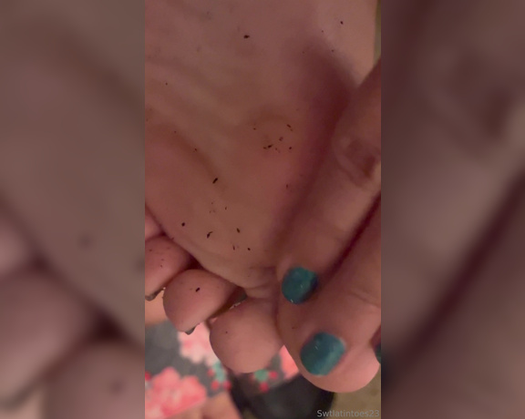 Swtlatintoes aka swtlatintoes - 08-14-2024 OnlyFans Video - Feet got a lil dirty during my fight class