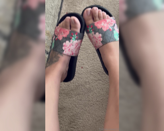 Swtlatintoes aka swtlatintoes - 08-18-2024 OnlyFans Video - Do you like nudes