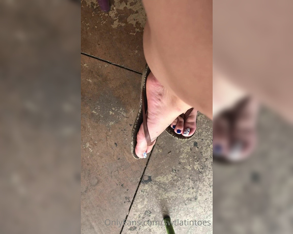 Swtlatintoes aka swtlatintoes - 09-14-2020 OnlyFans Video - Patiently waiting for my food