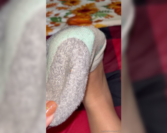 Swtlatintoes aka swtlatintoes - 11-26-2024 OnlyFans Video - Fresh out of socks and they had a nice soft cheesy smell_lodp