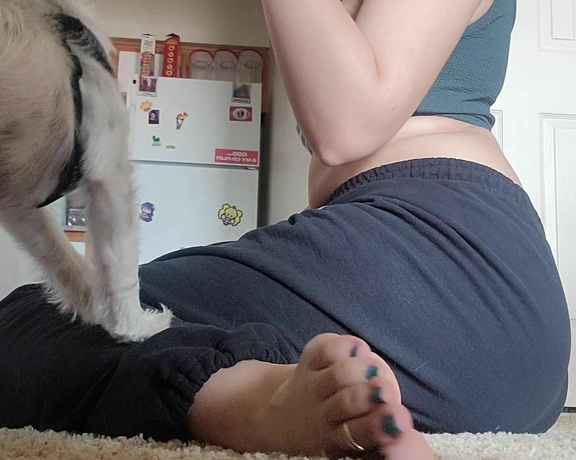 Mistress Trina aka trins_feet - 08-25-2022 OnlyFans Video - Im playing with my dog nephew