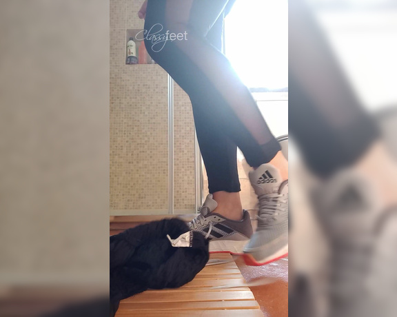 ClassyFeet Sofia aka classyfeet - 01-03-2023 OnlyFans Video - C4H _ 3 after gym, nasty, peek_a_boob at the very end