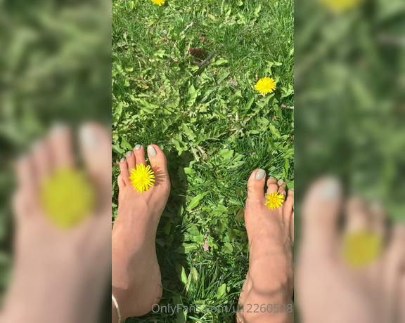 Atoesies aka atoesies - 05-08-2020 OnlyFans Video - Dirty grassyyyyyyy