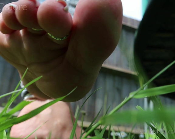 Footsie Galore aka footsiegalore - 05-30-2024 OnlyFans Video - If you were a tiny daisy and this was your view, would you be begging for