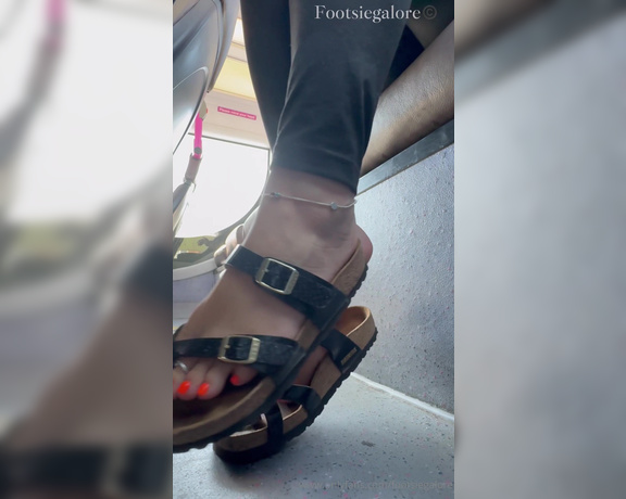 Footsie Galore aka footsiegalore - 08-31-2024 OnlyFans Video - Bus trips in my Birkenstocks