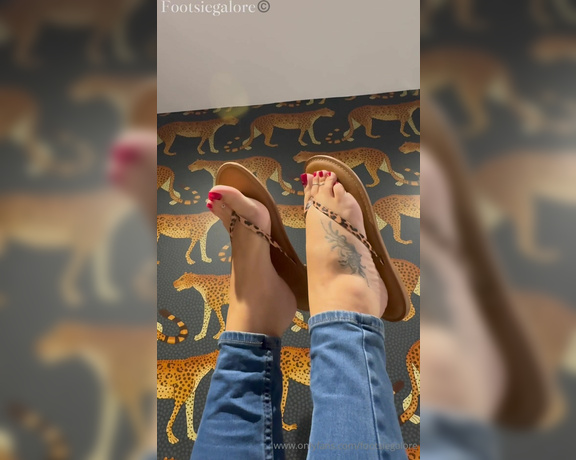 Footsie Galore aka footsiegalore - 09-20-2024 OnlyFans Video - Feline Flip flop Friday From the train to the hotel room  these leopard flip flops