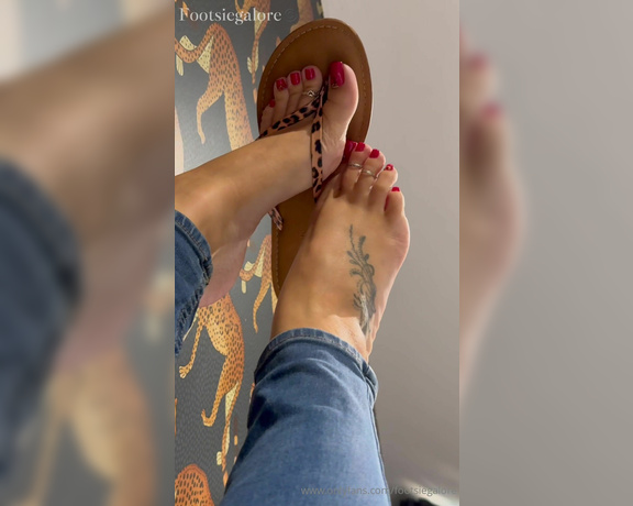 Footsie Galore aka footsiegalore - 09-20-2024 OnlyFans Video - Feline Flip flop Friday From the train to the hotel room  these leopard flip flops