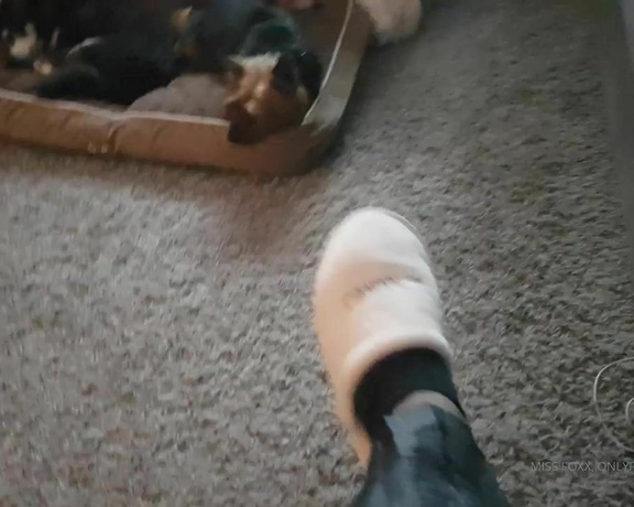 Miss Foxx aka missfoxx - 08-25-2019 OnlyFans Video - Wow, these slippers and socks are DIRTY CLEAN THEM, BITCH