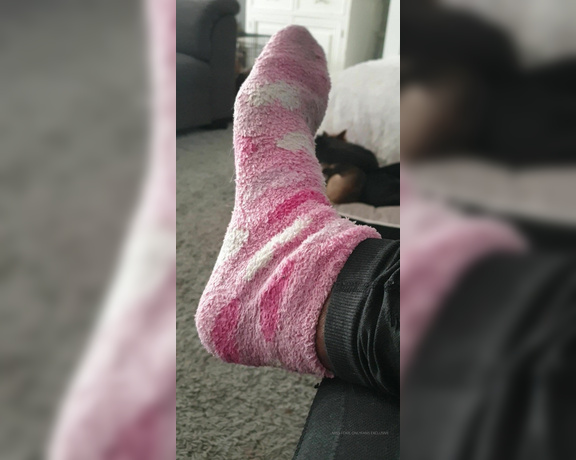 Miss Foxx aka missfoxx - 12-05-2019 OnlyFans Video - VIDEO Its so cold in England rn Thick slipper socks are the way forward