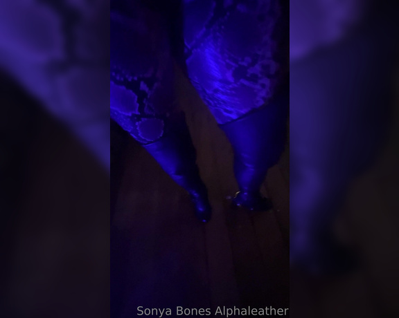 Alpha Leather aka alphaleather - 04-23-2023 OnlyFans Video - Sparkle, spurs and snakeskin