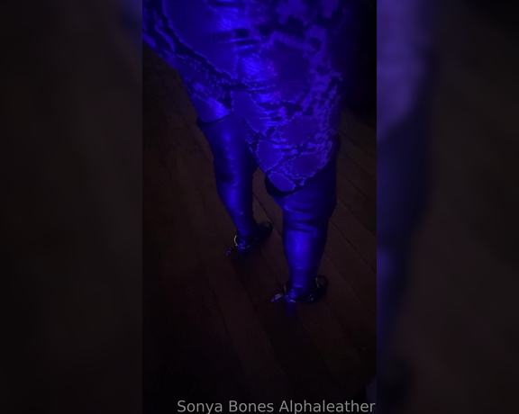 Alpha Leather aka alphaleather - 04-23-2023 OnlyFans Video - Sparkle, spurs and snakeskin