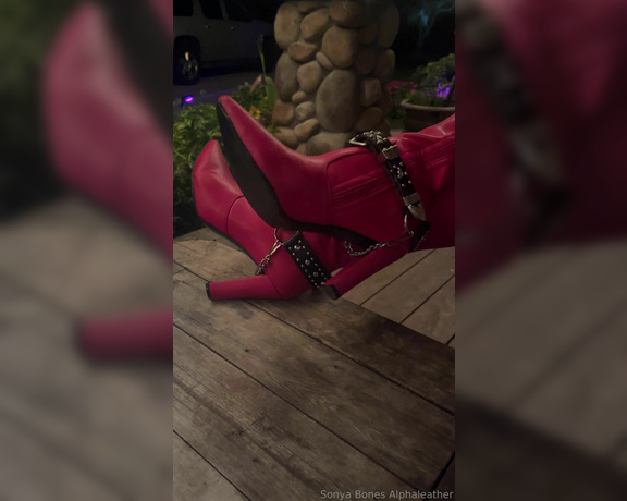 Alpha Leather aka alphaleather - 02-13-2024 OnlyFans Video - hi there