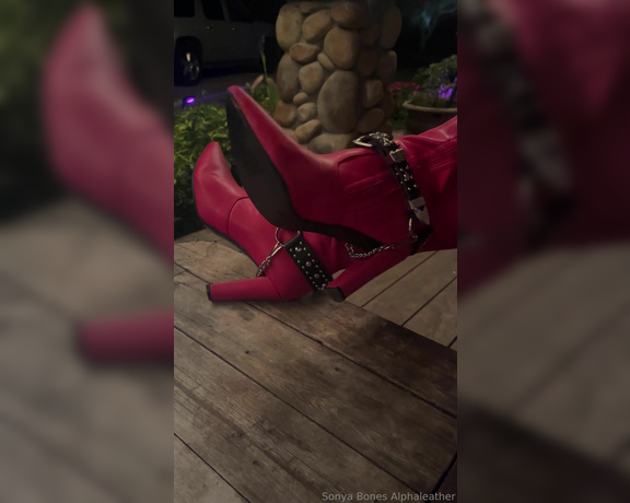 Alpha Leather aka alphaleather - 02-13-2024 OnlyFans Video - hi there