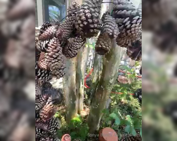 Alpha Leather aka alphaleather - 04-17-2024 OnlyFans Video - nature is so cool