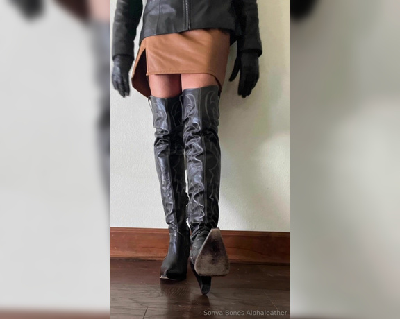 Alpha Leather aka alphaleather - 11-11-2024 OnlyFans Video - This morning, I am grateful that I am a gorgeous ray of fucking sunshine