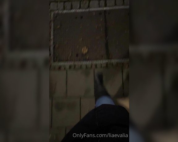 Miss Lia aka liaevalia - 12-08-2022 OnlyFans Video - Evening walks