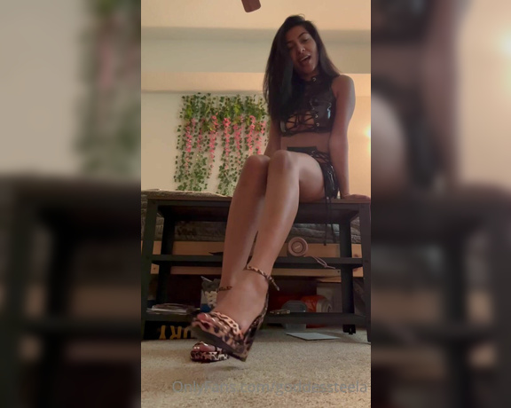 Goddess Nova aka goddessnova - 02-21-2023 OnlyFans Video - POWERFUL FEET Need I say more My feet run your life