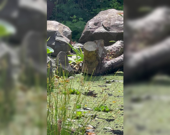 Stella Liberty aka stella_liberty - 07-07-2024 OnlyFans Video - Some birds are enjoying the pond this makes me so happy