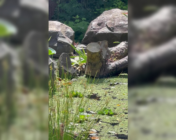 Stella Liberty aka stella_liberty - 07-07-2024 OnlyFans Video - Some birds are enjoying the pond this makes me so happy