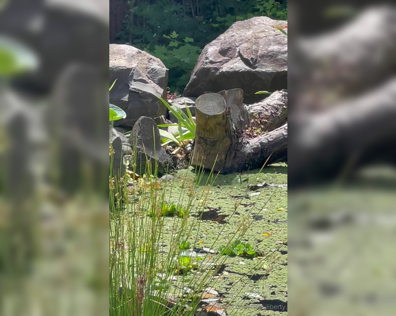 Stella Liberty aka stella_liberty - 07-07-2024 OnlyFans Video - Some birds are enjoying the pond this makes me so happy