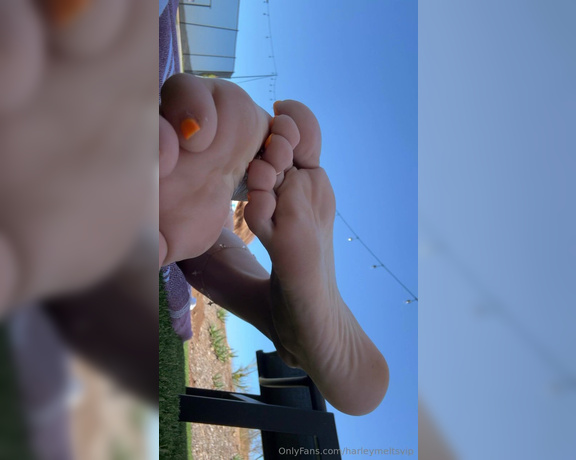 Harley Melts aka harleymeltsvip - 08-22-2024 OnlyFans Video - a few more orange toes moments that are just too good not to share, and while