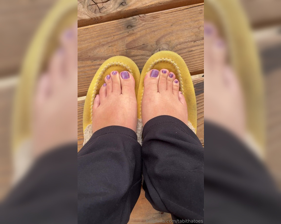 Tabitha Toes aka tabithatoes - 09-04-2023 OnlyFans Video - New Color On a scale of one to ten, how much do you like the purple