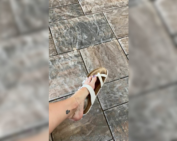 Alice Rose aka alicerosequeenoftoes - 09-16-2022 OnlyFans Video - Have a great Friday