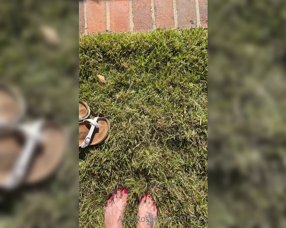 Alice Rose aka alicerosequeenoftoes - 10-07-2022 OnlyFans Video - Too bad I cant rub my feet all over you like I am rubbing them all